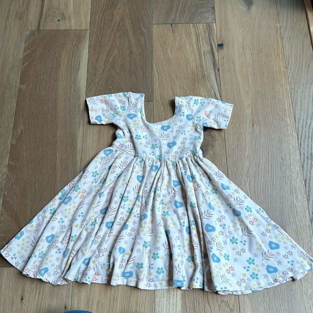 Alice and Ames twirl dress